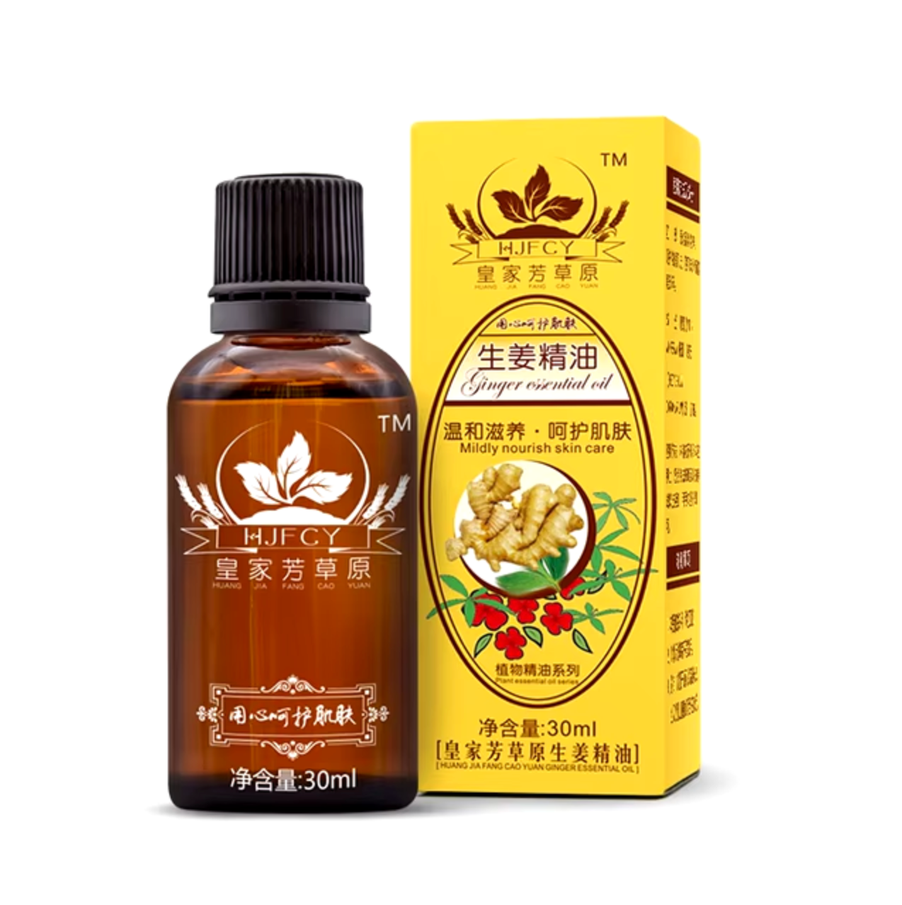 Ginger Massage Oil